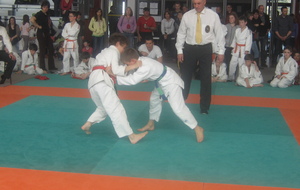DES PODIUMS POUR LE JUDO-CLUB DU FAUCIGNY A VALLEIRY