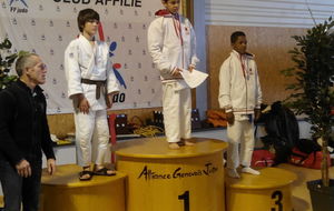 CHAMPIONNAT DEPARTEMENTAL MINIME