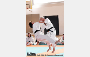 15/06/2018 Cérémonie 60 ans du club/retraite Patrick Muffat Joly/remise des ceintures 