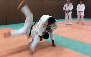 Cours de Judo ce Vendredi 12/10/2018