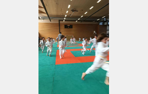 5c8e1b4e79146_Eveiljudo27.JPG