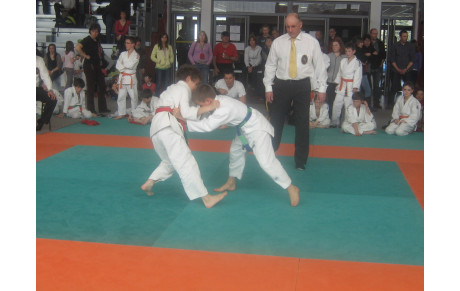 DES PODIUMS POUR LE JUDO-CLUB DU FAUCIGNY A VALLEIRY
