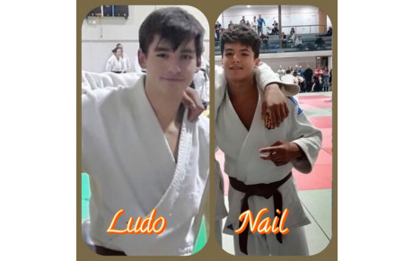 2019 Sem. 48 passage grades à Lyon et Shiais ceinture noire