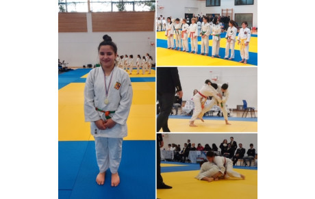 Circuit départemental n°2 benjamines 